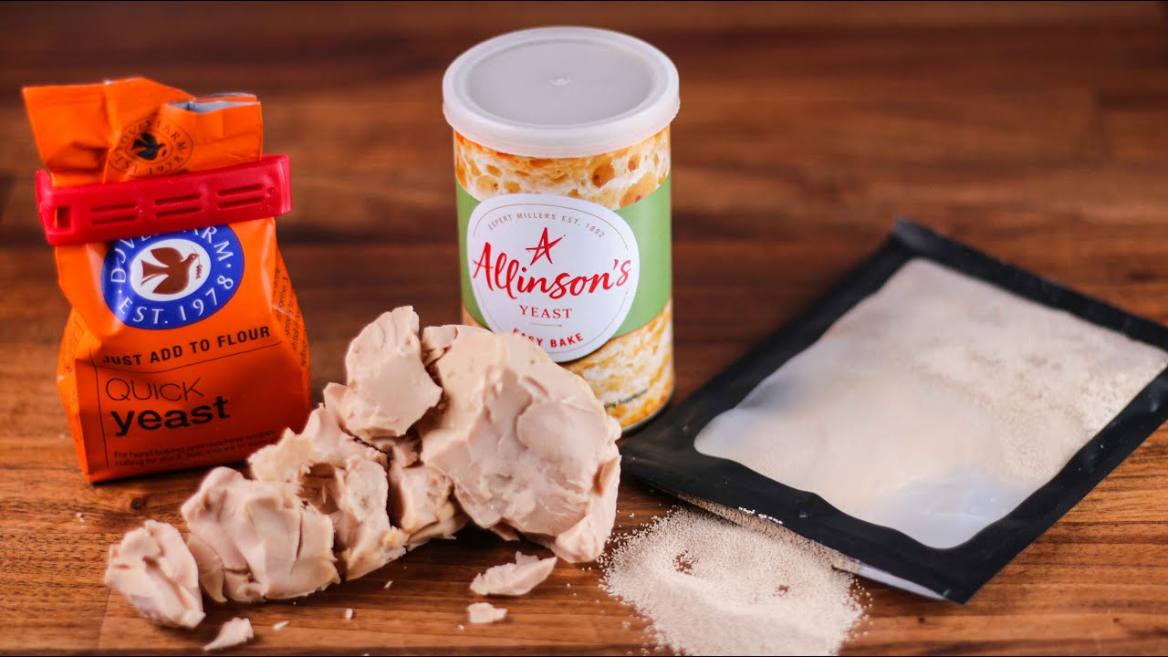 What is the real difference between various types of yeast Which one is best