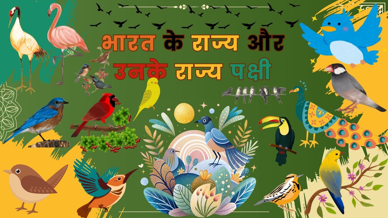 भारत के राज्य और उनके राज्य पक्षी | State Birds of India | Amazing Birds of India | Indian Birds