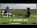 De Maitiidsswalker: Schiermonnikoog