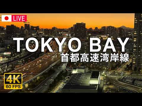 Shuto Expressway Bayshore Route — Shinonome JCT live camera