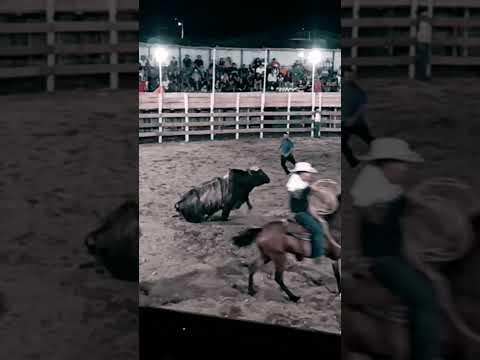 Osa Puntarenas sona sur palmar norte fiestas