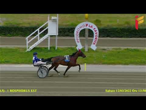 Prova di riqualifica del 12 Marzo 2022 - 5 Anni ed oltre