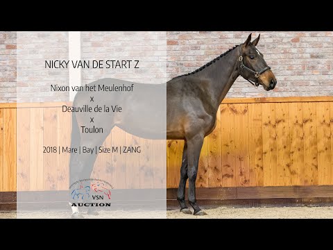 Nicky vd Start Z (v.Nixon van het Meulenhof x Deauville van T&L)