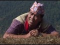 Salaiju Gurung Song Hyulai Maya Titile Song Ft Raju Gurung Maya Gurung