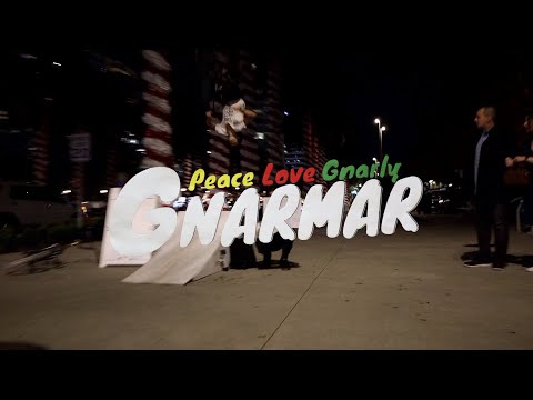 JOSH DELAROSA (FLIPS 2 FIGHT CANCER)