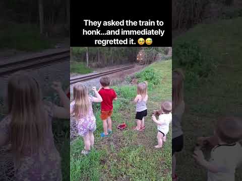 They asked the train to honk and immediately regretted it. 🥹😅
