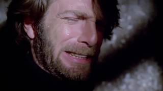 Mr OIZO • OISEAUX