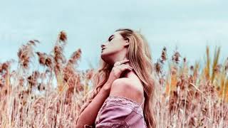 Download lagu And I Love You So 我是如此愛你 / Don Mclean [ 中英歌詞 ] mp3