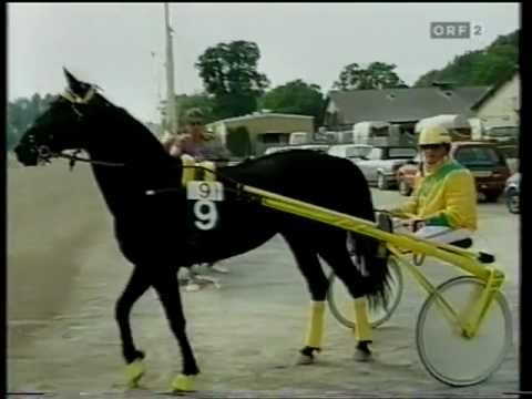 Preis der Stadt Wien 1994