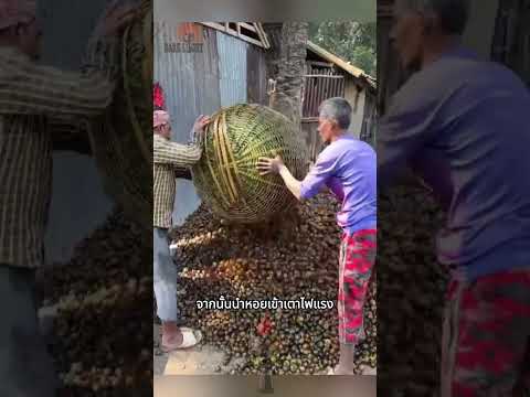 ใครจะคิดว่าหอยเชอร์รี่ จะกลายเป็นปูนขาว