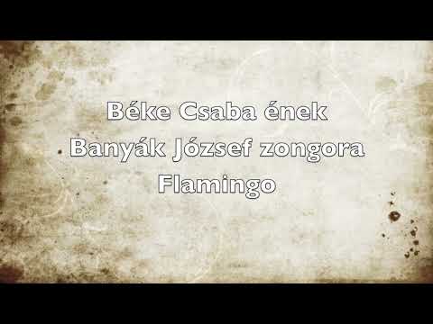 Flamingo ,Vocal (Csaba Béke) and Piano (József Banyák)