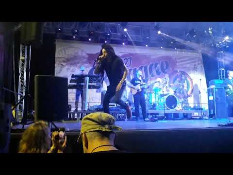 Mellow Mood - Dance inna Babylon 2. - LB27 Reggae Camp 2019