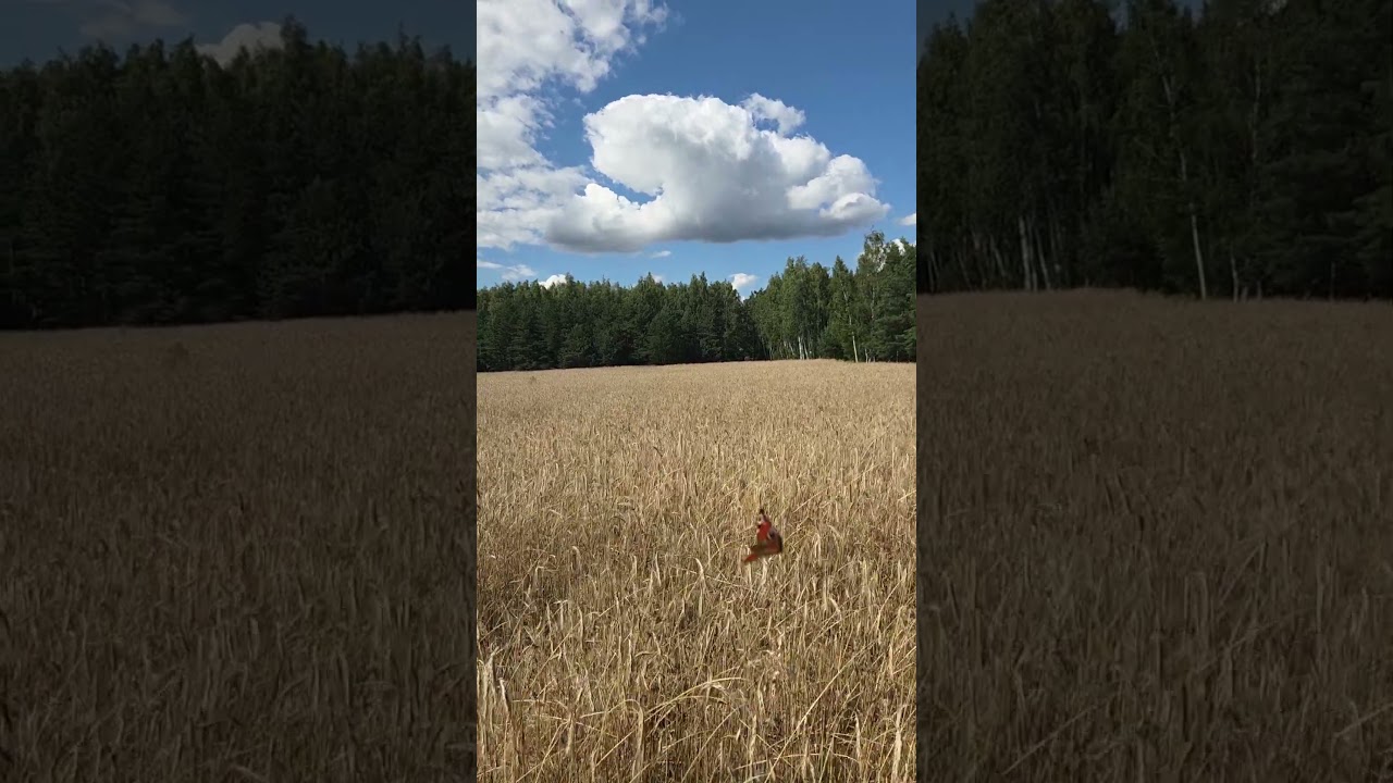 Agnieszka Zdrzalik-5