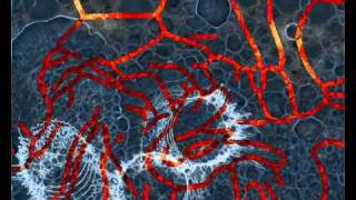 Badly Drawn Boy - This Beautiful Idea [Milkdrop demo]