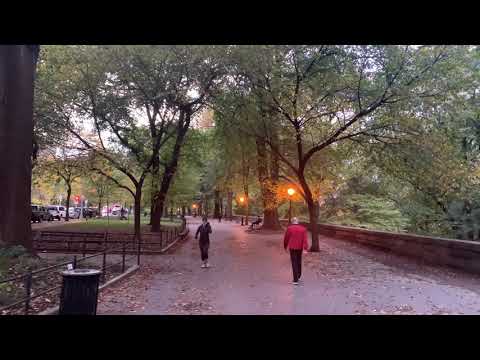 ⁴ᴷ⁶⁰ Fall in New York City | Relaxing Walk in Morningside Heights