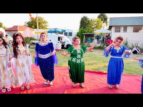 ORK MUSI ZABUN 2019 LIVE ☆ █▬█ █ ▀█▀ ♫(OFFİCİAL
