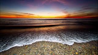 IVY - Edge of the Ocean