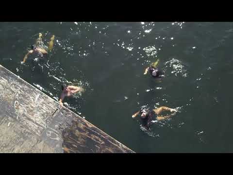 Rio Cholchol Novena región Nueva Imperial #araucanía #chile #imperial #surdechile 