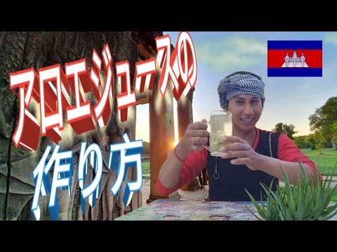 アロエベラジュースを自分で作る: これが仕組みです 植物