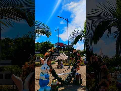 Praça Central | Derrubadas-RS #praça #centro #derrubadas #interior #riograndedosul #nature #sul