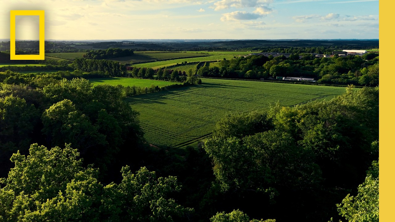 What is Regenerative Agriculture? | National Geographic