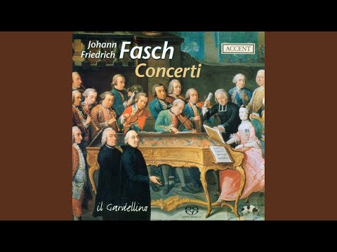 Concerto in D Minor, FWV L:d7: I. Allegro