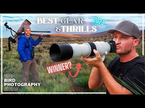 The Ultimate Bird Photography Show: GEAR, THRILLS, PHOTOS, EDITING HACKS & Viewer Critiques