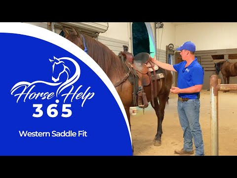 Western Saddle Fit | Horse Help - Michael Gascon