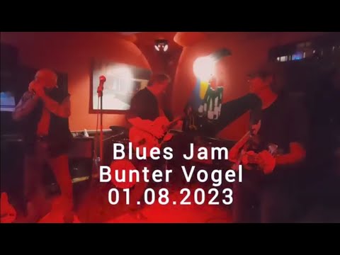 Bunter Vogel Münster Blues Jam