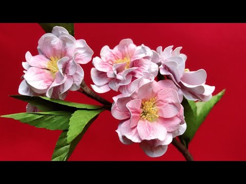 ABC TV | How To Make Double Cherry Blossom Flower With Shape Punch - Craft Tutorial