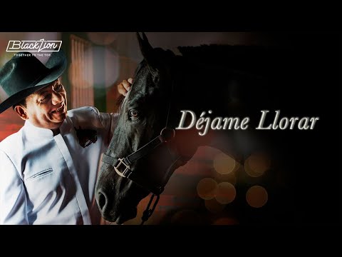 Dejame Llorar - Aries Vigoth