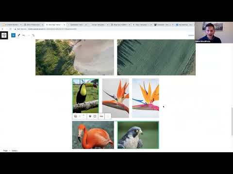 Exploring some of the new 6.2 WordPress features