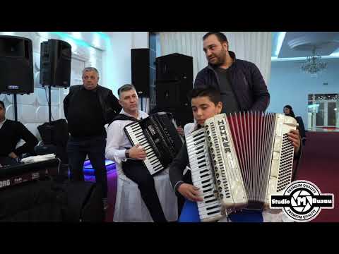 ❌❌❌ Calitate si Rafinament ❌❌❌ Adi Tudorache ❌❌❌  Rupe Acordeonul ❌❌❌