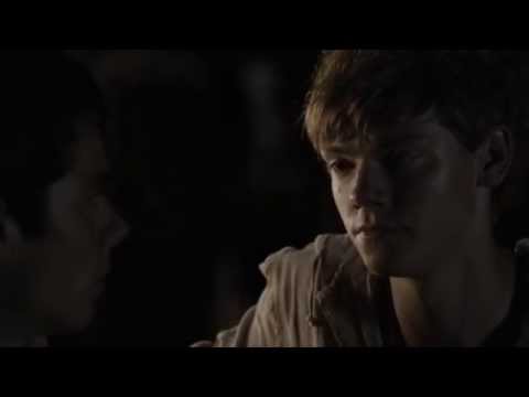 Newtmas | You love him, don't you?