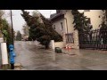 A strong gail (gale) of wind bent, dislodged and uprooted several trees in Zagreb Šestine
