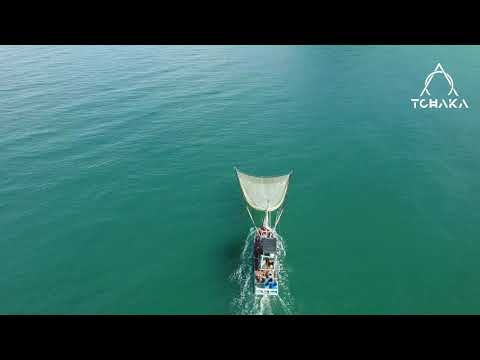 Stephan Jolk I Colyn I Innellea I Fideles I Anticyclone I Tchaka - MELODIC TECHNO 2021