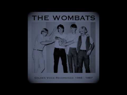 Thumbnail for The Wombats • One More Time • 1966 by The Wombats