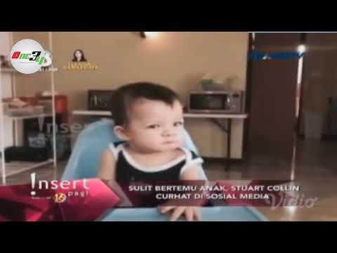 STUART COLLIN RINDU untuk dipertemukan dengan Anaknya