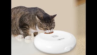 Ownpets 6 Meals Automatic Cat Feeder for Wet/Dry Food, with 2 Ice Packs