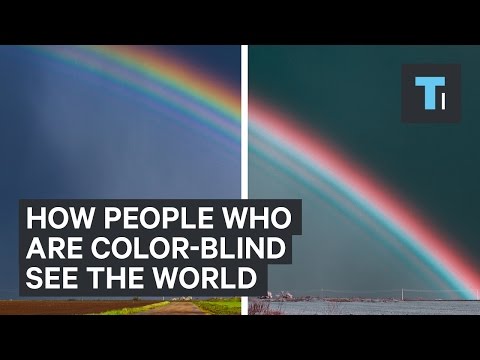 How Color-Blind People See the World