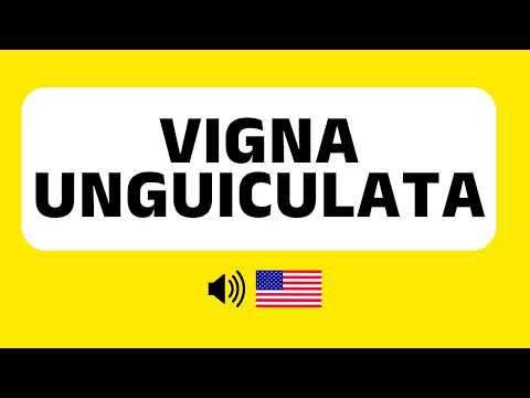 How to Pronounce Vigna Unguiculata (Correctly) + Real Life Examples