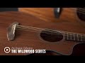 The Breedlove Organic Collection - Wildwood Series