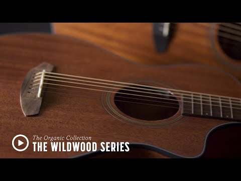 Breedlove Wildwood Concerto Satin CE Acoustic-Electric Guitar, Mahogany Stain image 4