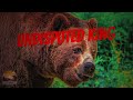 The Most Powerful Grizzly Bear: Unmasking The Boss of the Wild!