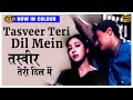 Tasveer Teri Dil Mein - Maya - Lata & Rafi - Dev Anand, Mala Sinha - Colour Song