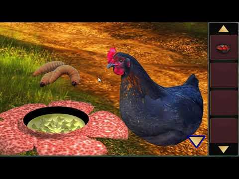 Escape Room Forgotten Legend Video