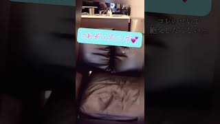 友達のパンチラがっつり晒しちゃう女の子