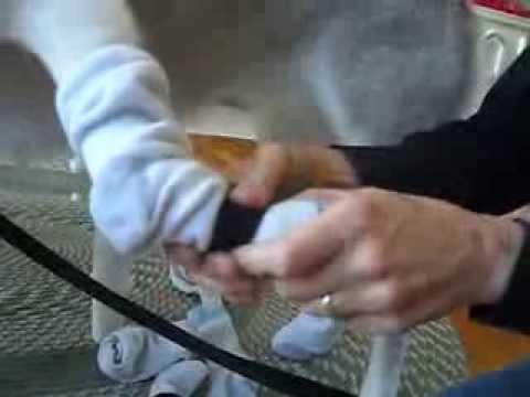 YouTube video about: How to quiet dog nails on floor?