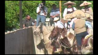 Zacatecas