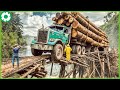 111 Extreme Big Logging Wood Truck Transport Skills Biggest Heavy Machinery Machines